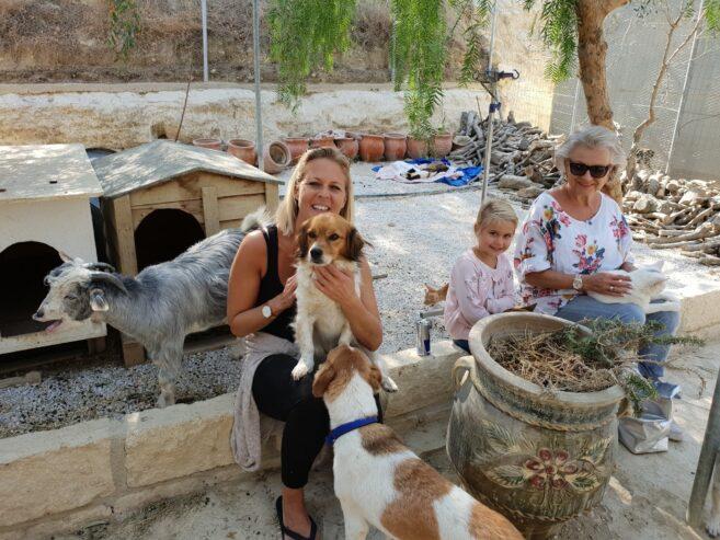 TAKIS ANIMAL SHELTER CRETE –