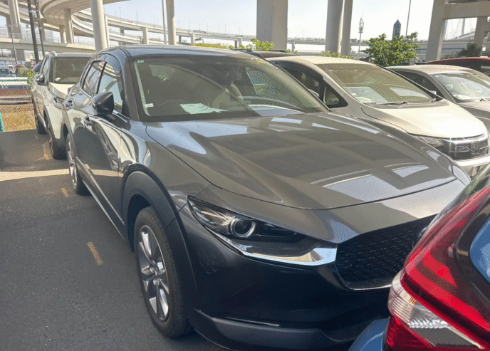 Mazda CX-30 2,0L 2021