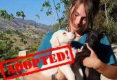 TAKIS ANIMAL SHELTER CRETE –