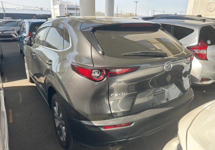 Mazda CX-30 2,0L 2021