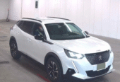 Peugeot 2008 1,2L 2022