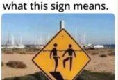 Funny memes
