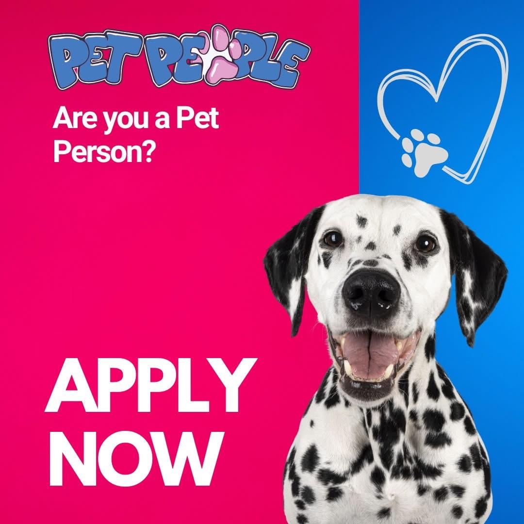 Sales Assistant (Full-time or part time)