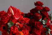 Be bloomy flowers
