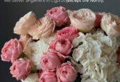 Be bloomy flowers