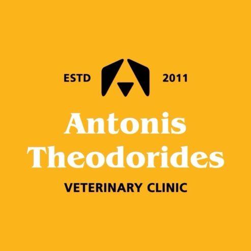 Veterinary clinic ( Antonis theodorides)