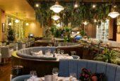Piccolino restaurants
