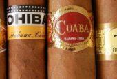 Cigar Shop – Stelios & Christodoulos