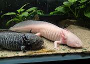 Matlock Bath Aquarium & Exhibitions