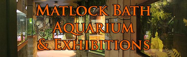 Matlock Bath Aquarium & Exhibitions