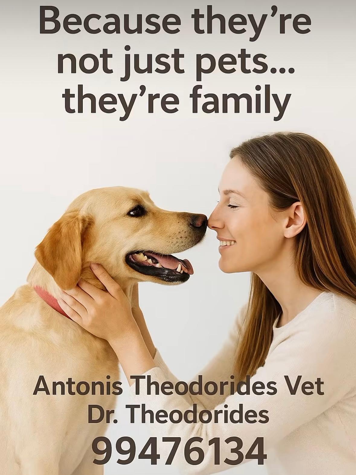 Veterinary clinic ( Antonis theodorides)