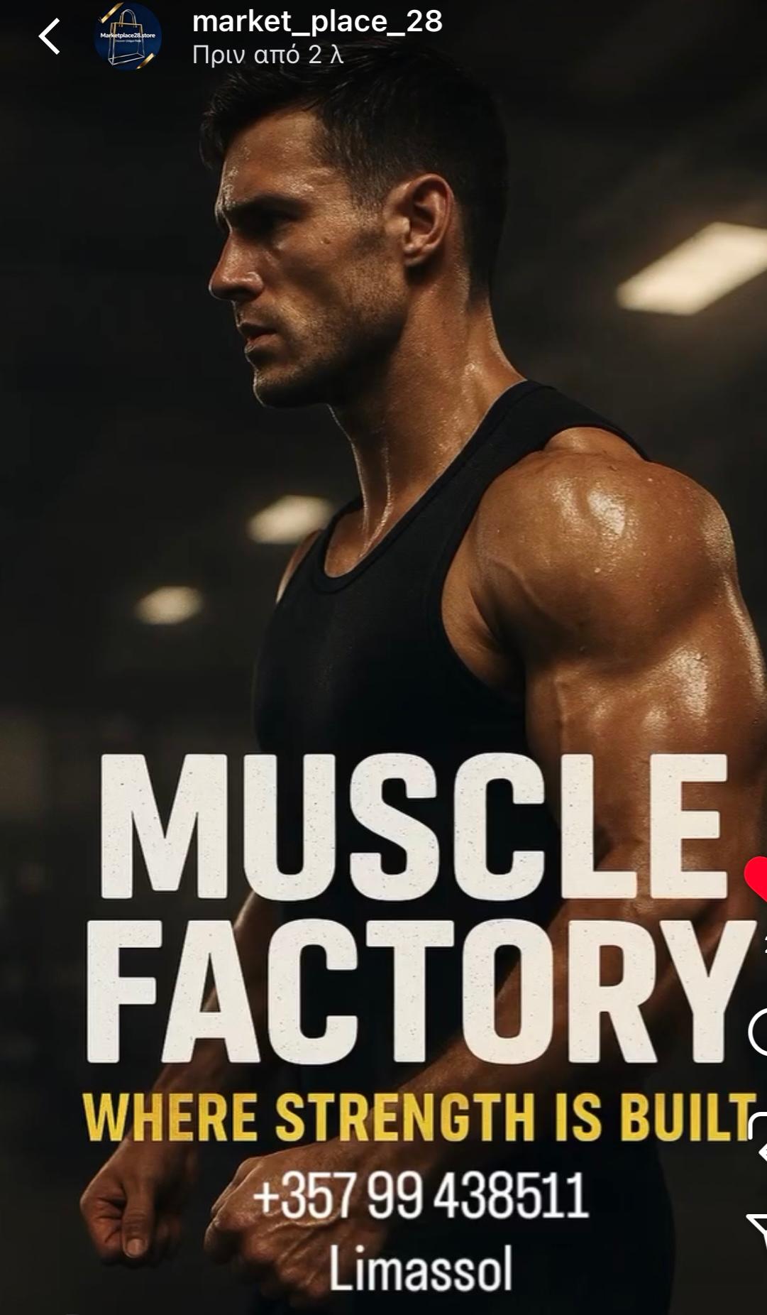 MUSCLE FACTORY 24/7 open gym