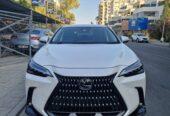 ( 2 ) LEXUS NX350H 1 white+1 Grey
