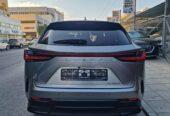 ( 2 ) LEXUS NX350H 1 white+1 Grey