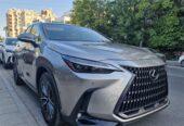 ( 2 ) LEXUS NX350H 1 white+1 Grey