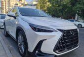 ( 2 ) LEXUS NX350H 1 white+1 Grey