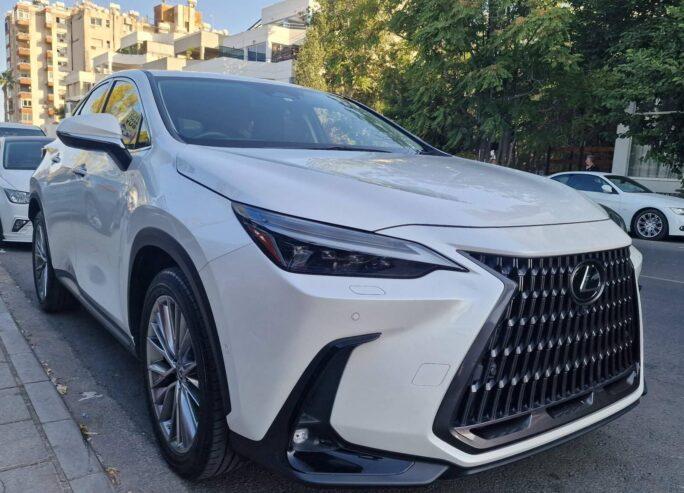 ( 2 ) LEXUS NX350H 1 white+1 Grey