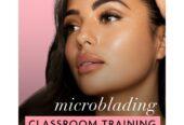 Brow Perfect Microblading Training with Kit
