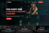 Freelancer Website Developer