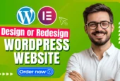 Freelancer Website Developer