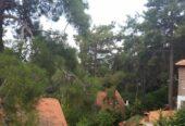Hotel In The Troodos Mountains Area Of Cyprus For Sale