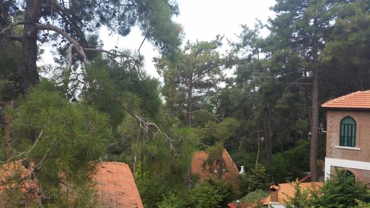 Hotel In The Troodos Mountains Area Of Cyprus For Sale