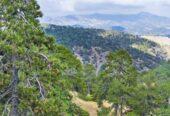Hotel In The Troodos Mountains Area Of Cyprus For Sale
