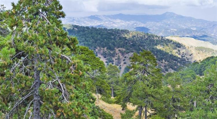 Hotel In The Troodos Mountains Area Of Cyprus For Sale