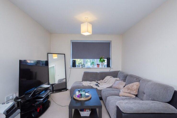 1 bedroom flat